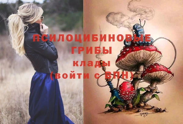 героин Каменка