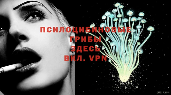 трава Каменногорск